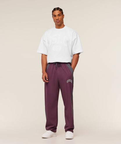Collegiate Tech Pants - US 3129