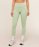 Whitney Regular Legging - US 5798